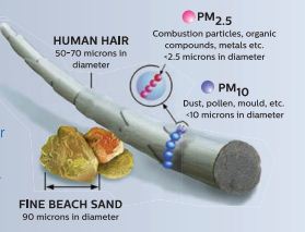 PM2.5 hair thickness comparison