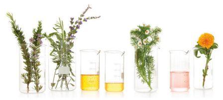 Bio-oil review Ingredients