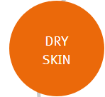 bio oil review DRY skin