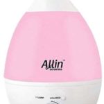 Best Humidifier In India For Room