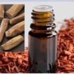 Essential Oil Uses In Diffusers & Cool Mist Humidifiers In India