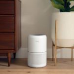Levoit Core 300 Review – Champion Small Room Air Purifier