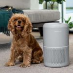 Levoit Core P350 Review – Air Purifier For Houses With Pets