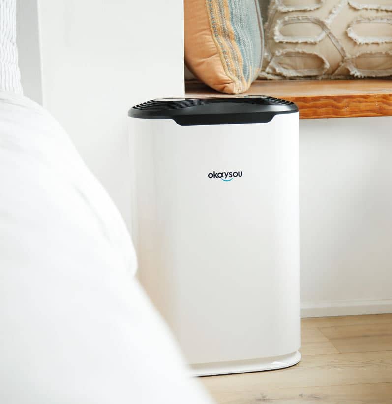 Okaysou Air Purifier review