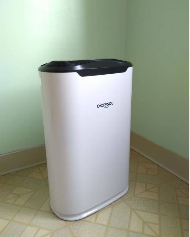 Okaysou Airmax8L Air Purifier Review