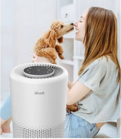 Levoit LV-H135 Air Purifier Review - Great Air Purifier - AirSwacch