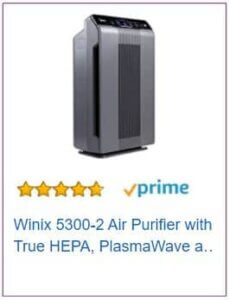 Winix 5300 Price