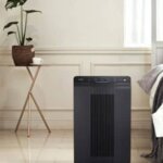 Winix 5500 Air Purifier Review A BestSeller Model