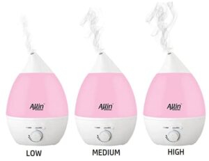 Allin humidifier mist output